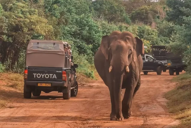 12 Days Sri Lanka Tour Package
